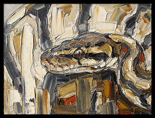 Ball Python In Abstract Form