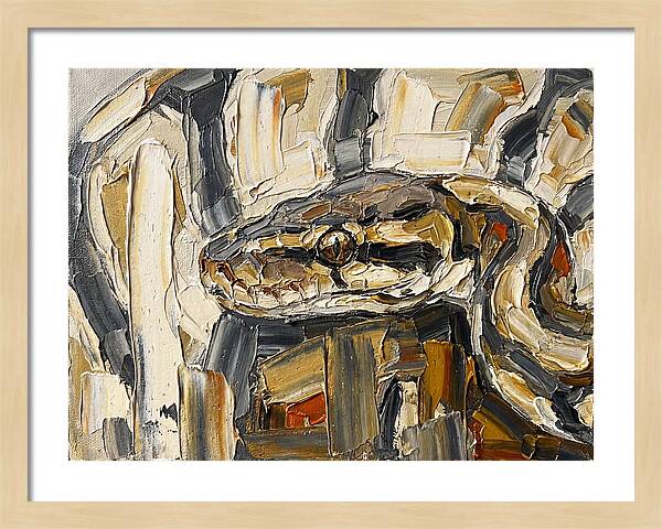 Ball Python In Abstract Form