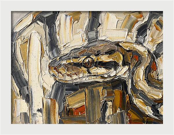 Ball Python In Abstract Form