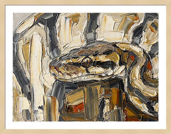 Ball Python In Abstract Form