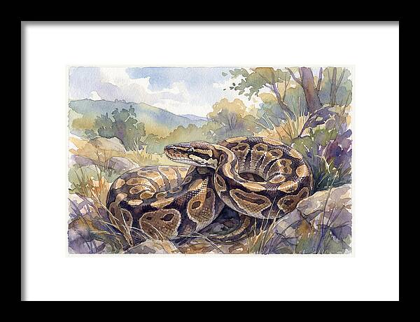 Ball Python In Nature