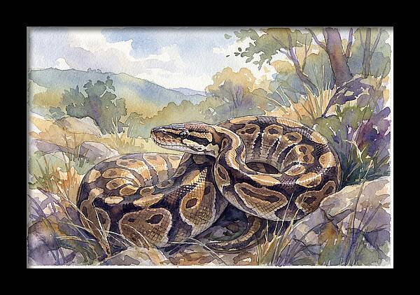 Ball Python In Nature