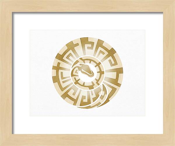 Ball Python Spiral