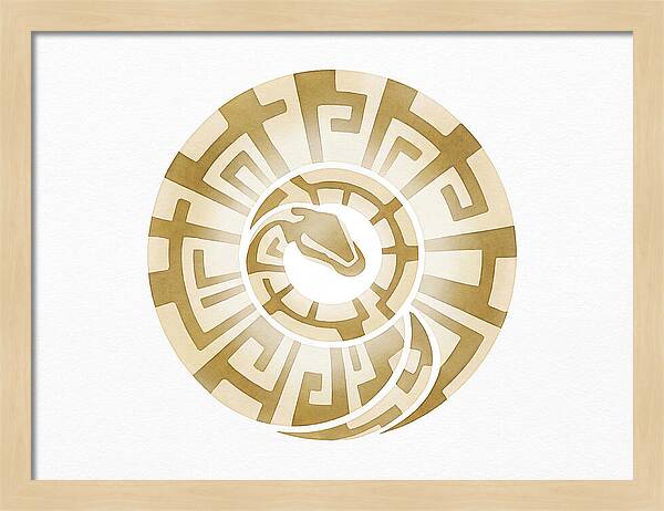 Ball Python Spiral