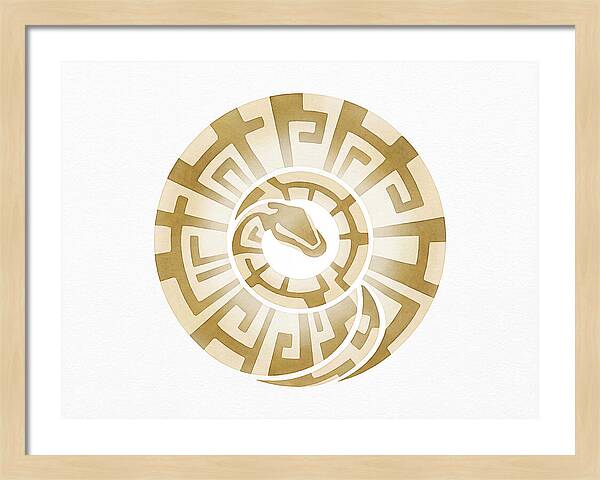 Ball Python Spiral