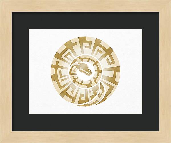 Ball Python Spiral