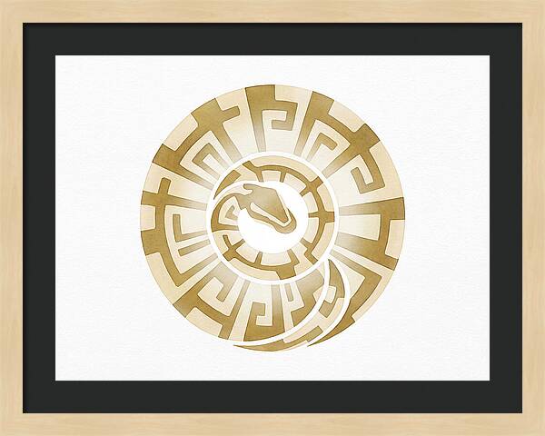Ball Python Spiral