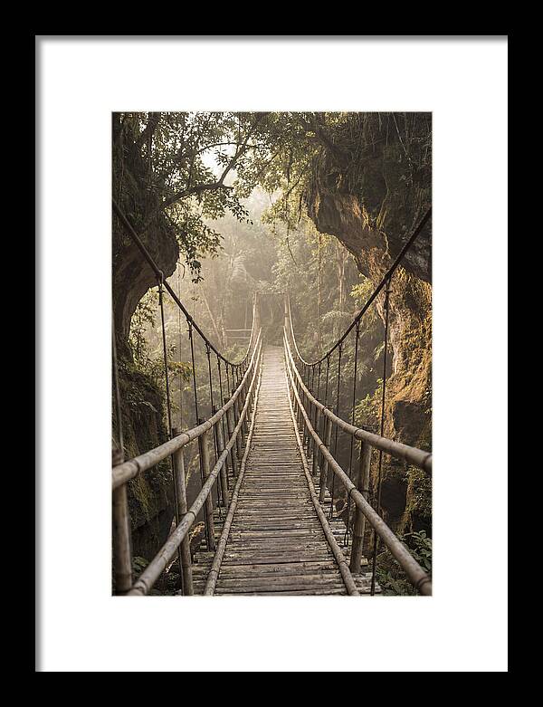 Bamboo Bridge Over Tropical Gorge