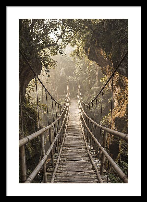 Bamboo Bridge Over Tropical Gorge