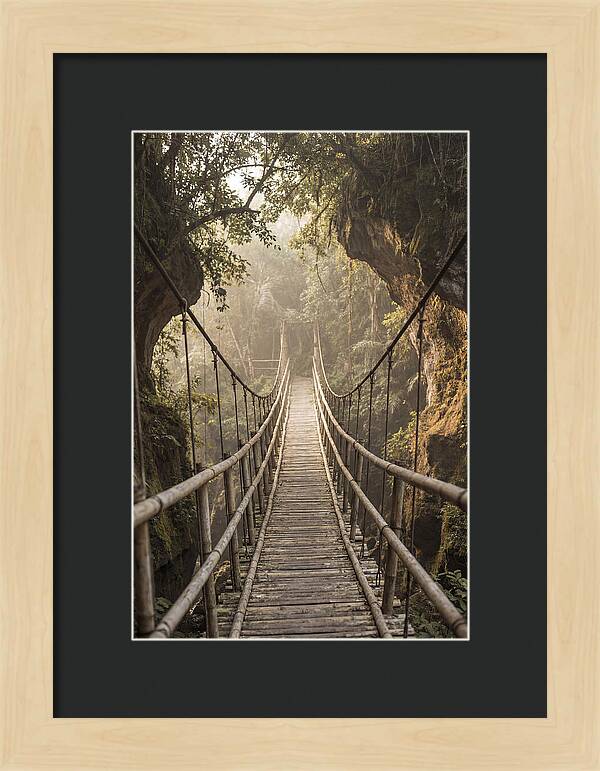 Bamboo Bridge Over Tropical Gorge