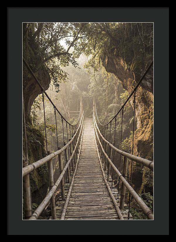 Bamboo Bridge Over Tropical Gorge
