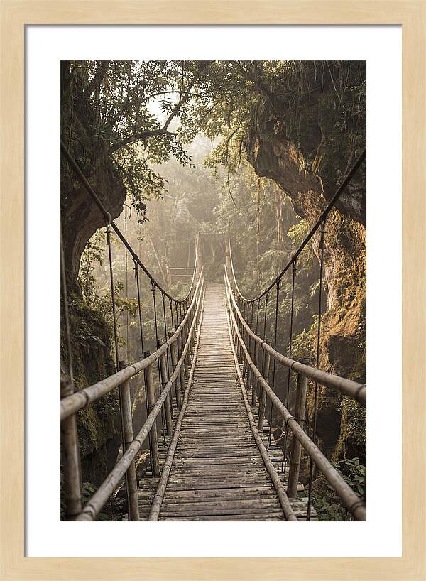 Bamboo Bridge Over Tropical Gorge