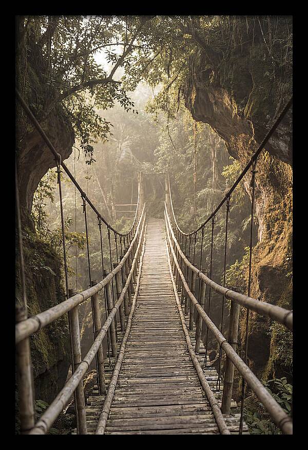 Bamboo Bridge Over Tropical Gorge