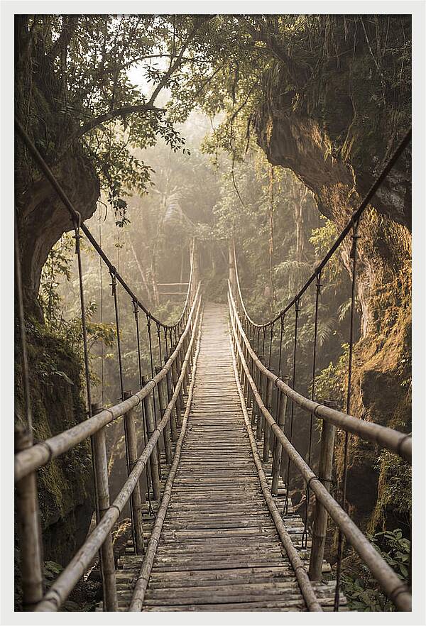 Bamboo Bridge Over Tropical Gorge