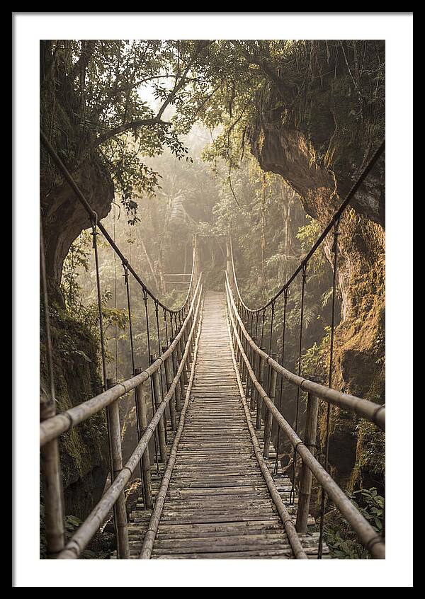 Bamboo Bridge Over Tropical Gorge