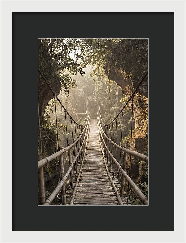 Bamboo Bridge Over Tropical Gorge