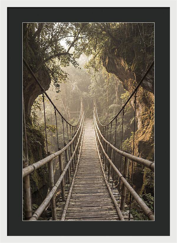 Bamboo Bridge Over Tropical Gorge