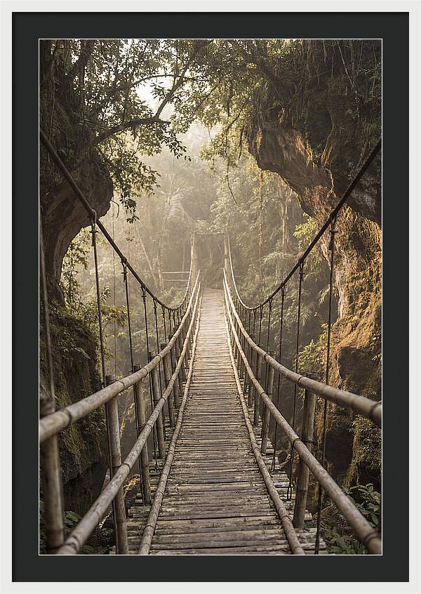 Bamboo Bridge Over Tropical Gorge
