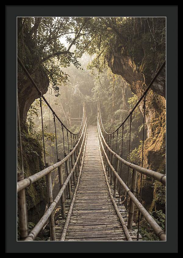 Bamboo Bridge Over Tropical Gorge
