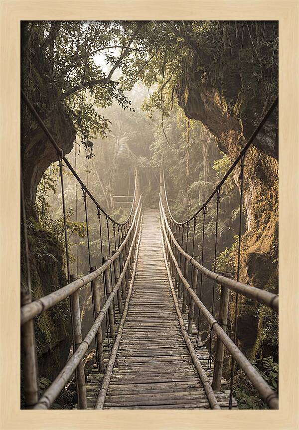 Bamboo Bridge Over Tropical Gorge