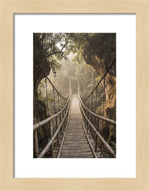 Bamboo Bridge Over Tropical Gorge