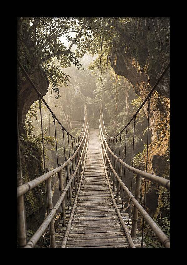 Bamboo Bridge Over Tropical Gorge