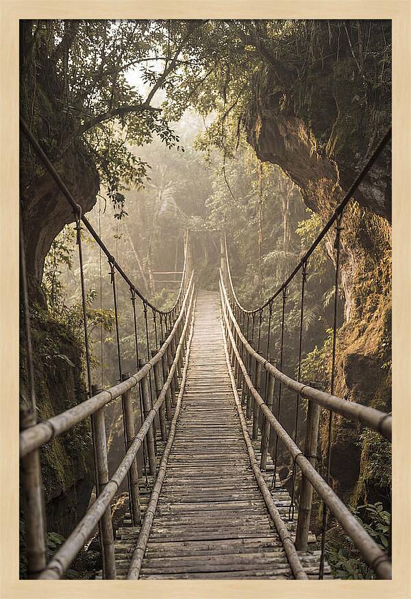 Bamboo Bridge Over Tropical Gorge