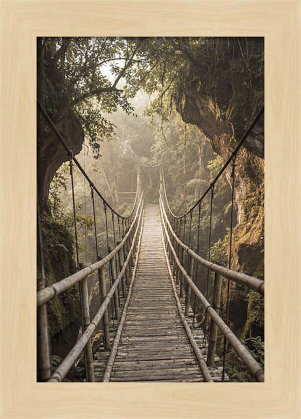 Bamboo Bridge Over Tropical Gorge