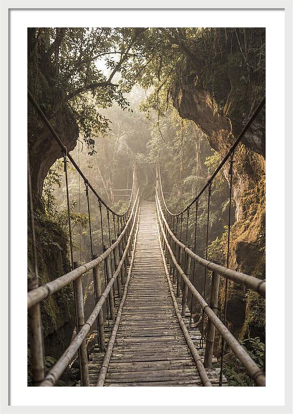 Bamboo Bridge Over Tropical Gorge