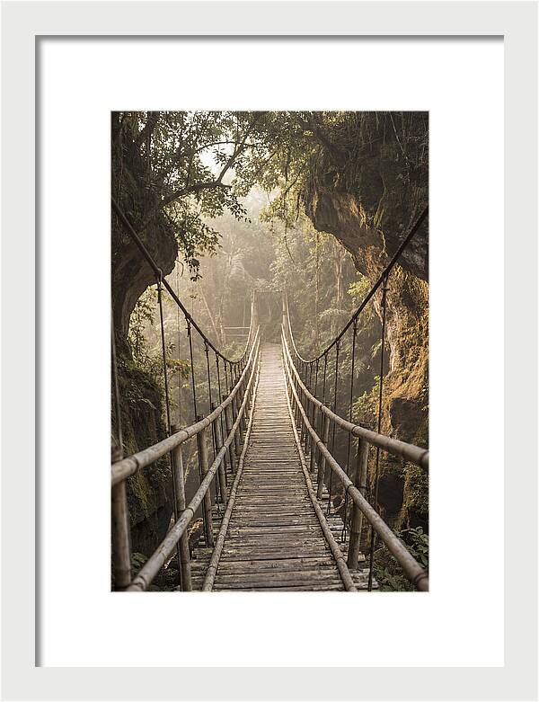 Bamboo Bridge Over Tropical Gorge