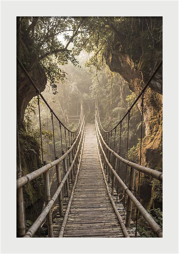 Bamboo Bridge Over Tropical Gorge