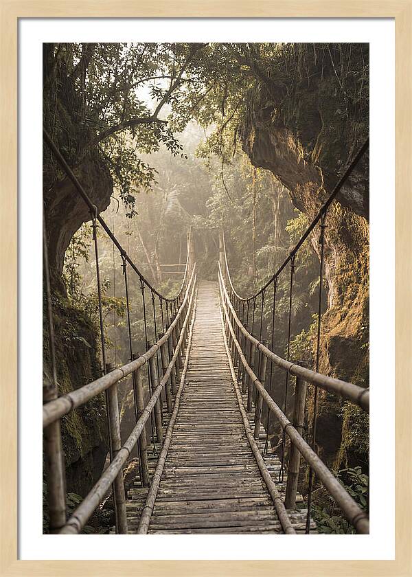 Bamboo Bridge Over Tropical Gorge