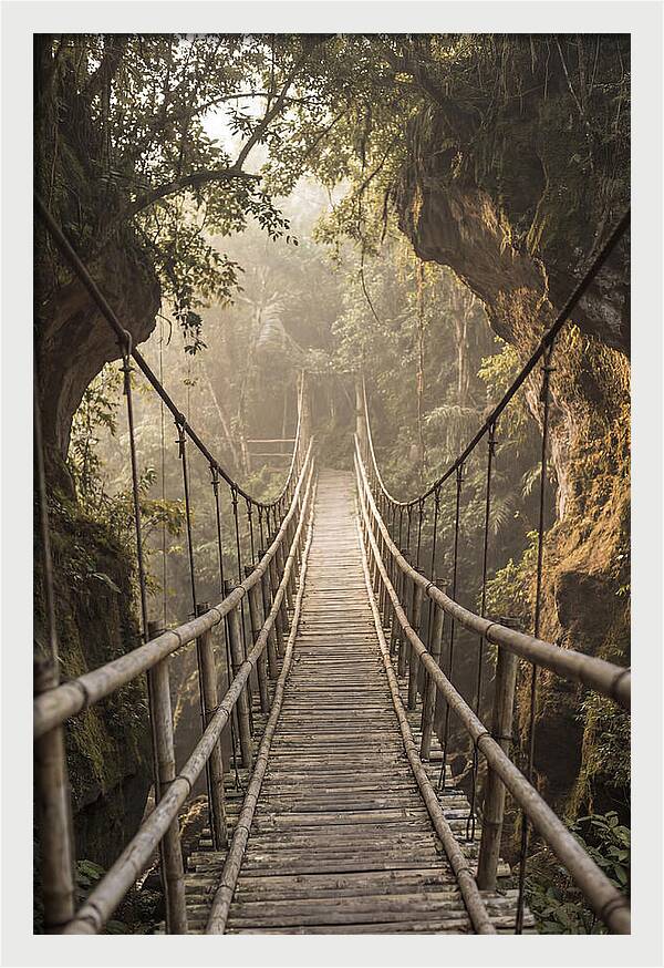 Bamboo Bridge Over Tropical Gorge