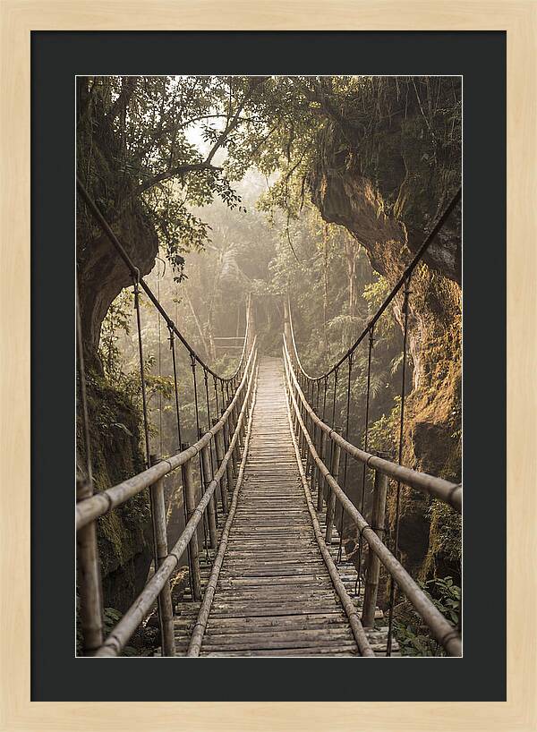 Bamboo Bridge Over Tropical Gorge