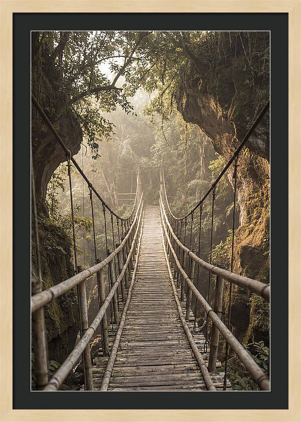 Bamboo Bridge Over Tropical Gorge