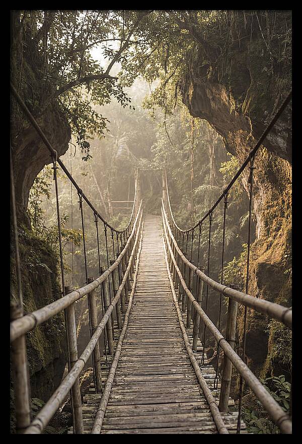 Bamboo Bridge Over Tropical Gorge