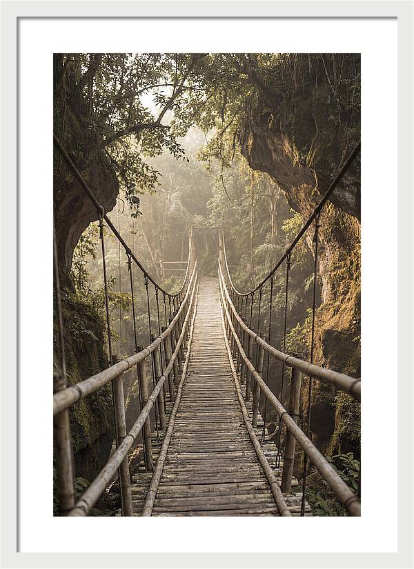 Bamboo Bridge Over Tropical Gorge