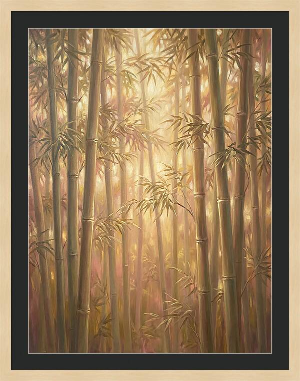 Bamboo Forest