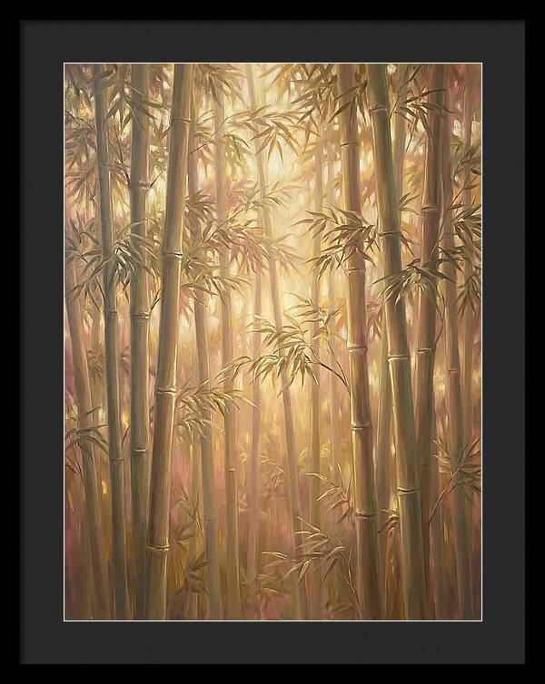 Bamboo Forest
