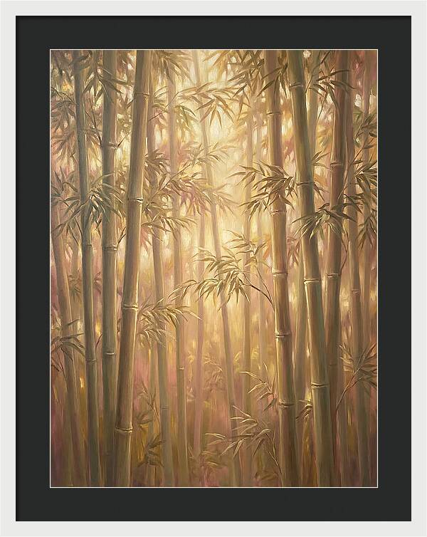 Bamboo Forest