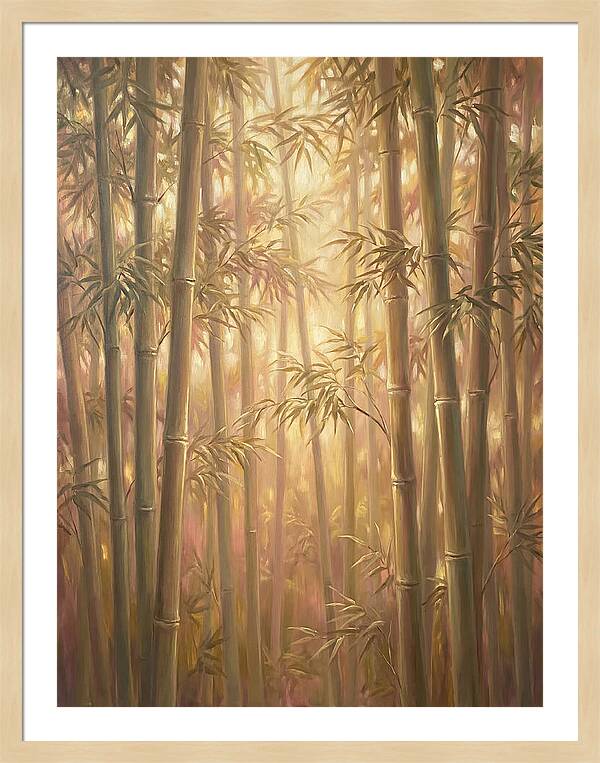 Bamboo Forest