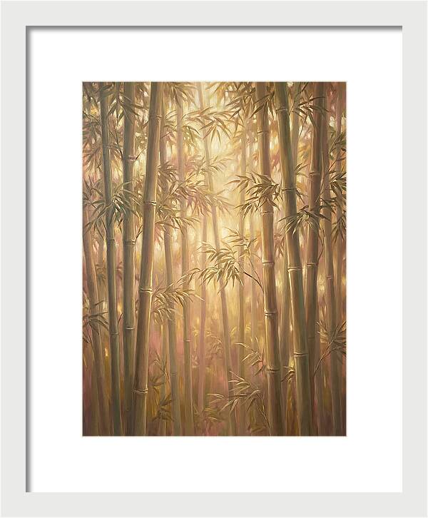 Bamboo Forest