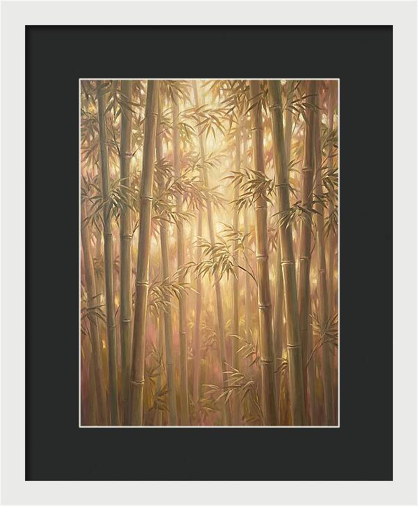 Bamboo Forest