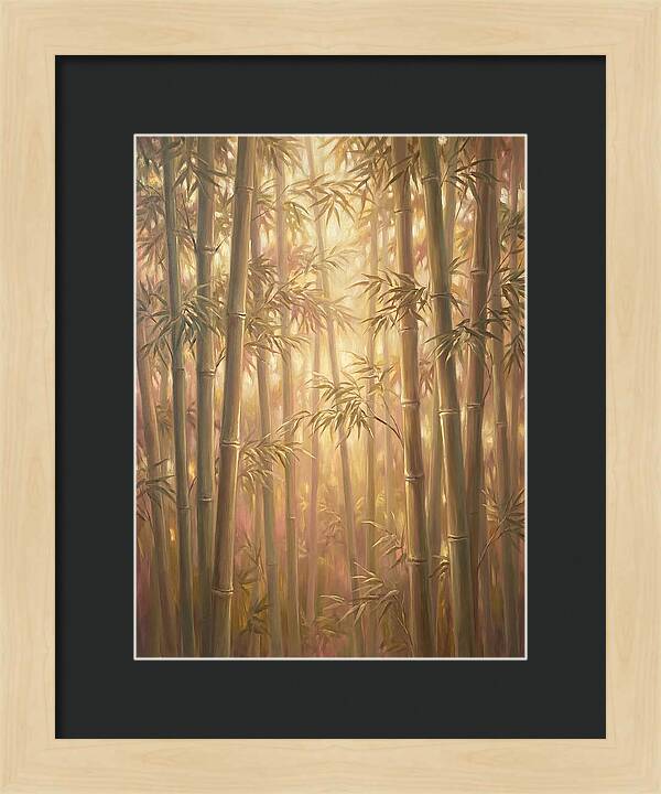 Bamboo Forest