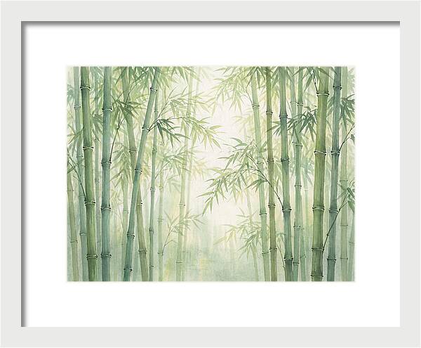 Bamboo Forest Serenity