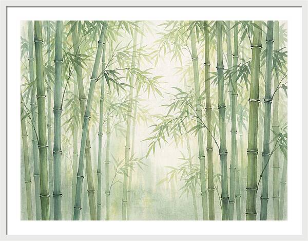 Bamboo Forest Serenity