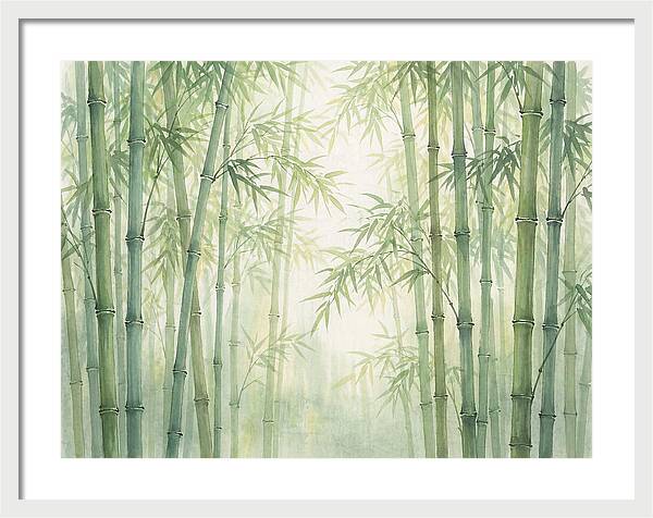 Bamboo Forest Serenity