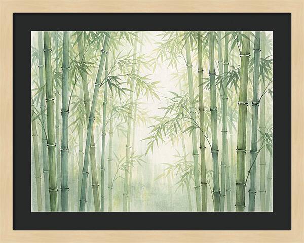 Bamboo Forest Serenity