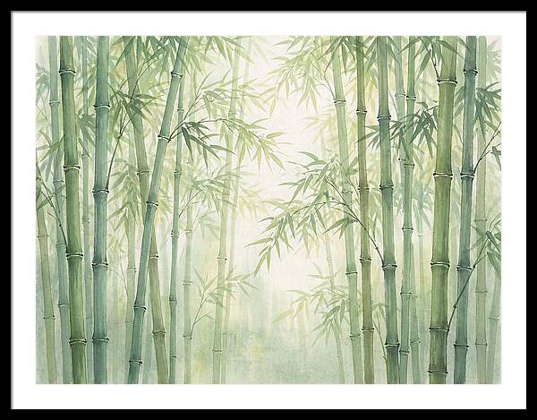 Bamboo Forest Serenity
