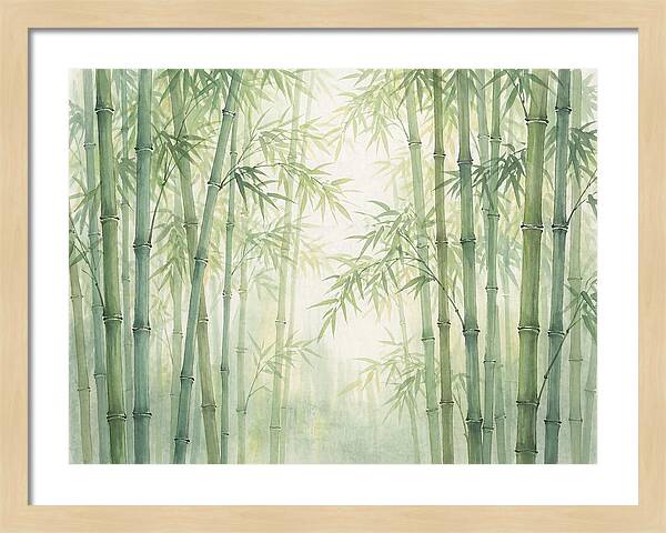 Bamboo Forest Serenity